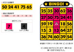 chobibingo090428.jpg